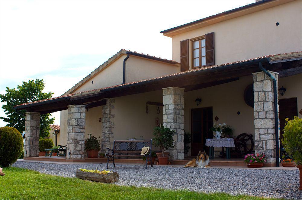 Agriturismo Sant' Ansano Hostal Castiglione dʼOrcia Exterior foto